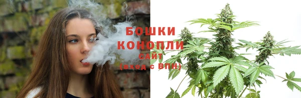 индика Зерноград