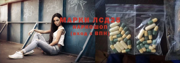 индика Зерноград