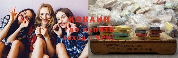 индика Зерноград