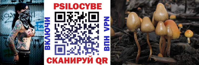 Купить где Дубна Галлюциногенные грибы Magic Shrooms