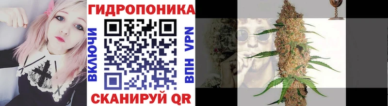 Купить закладки  Дубна  МАРИХУАНА MAZAR 